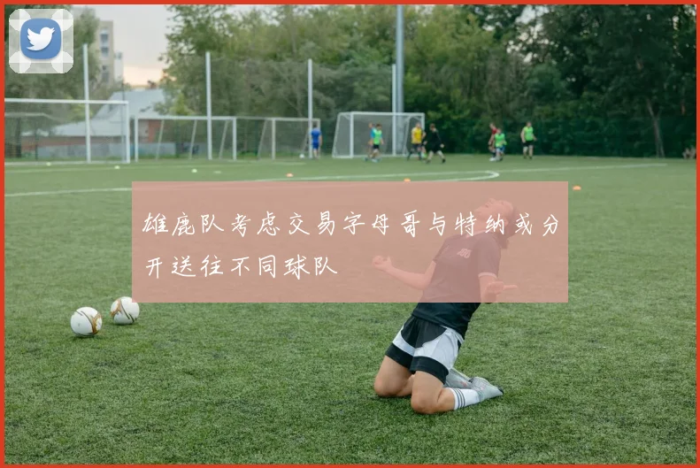 雄鹿队考虑交易字母哥与特纳或分开送往不同球队